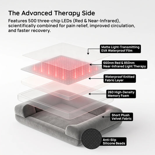 nupet Red Light Therapy Dog Bed