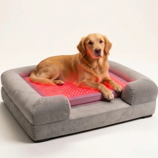 nupet Red Light Therapy Dog Bed